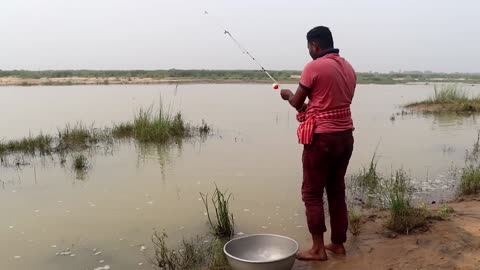 Fishing Video || The village boy catching a giant fish using the right food || Amazing...