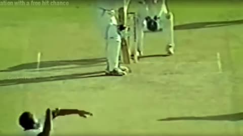 cricket funny video