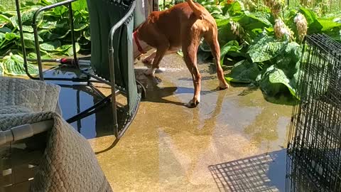 Paisley experiences water