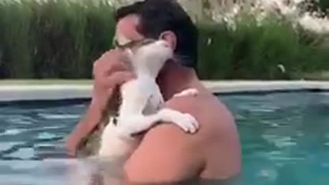 swimming cat with men