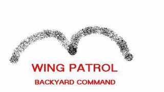 Wing Patrol