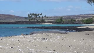 Kailua-Kona, HI — Kekaha Kai State Park #1