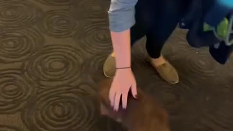 Dog surprises best friend