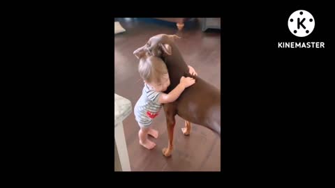 Baby and dogs loving moments!