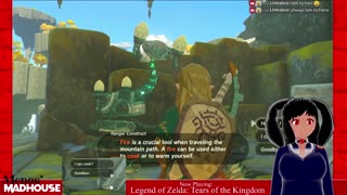 [Legend of Zelda: Tears of the Kingdom - Part 1] The Sky is Falling!?