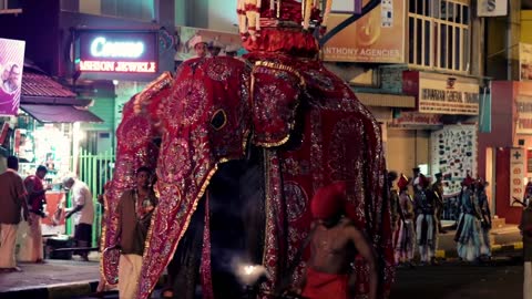 Elephants dressed in shimmering robe taking part with dancers and drummers in Buddhist