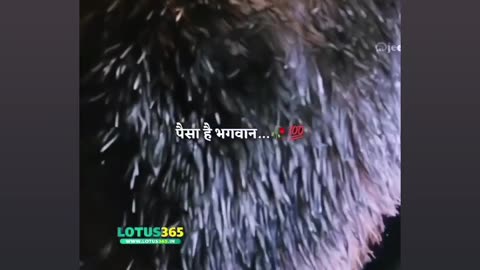 पैसा है भगवान.....🔥💯 अगर आपको हमारी Reel अच्छी लगी है तो Like viral जरूर करें ❤️.. #viral