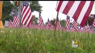Massachusetts business fights back after town cites them for displaying 'excessive' amount of flags