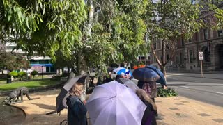 The Umbrella People at Government House - Saturday 17th September 2022 👨‍👩‍👧‍👦⛱👨‍👩‍👧‍👦☂️👨‍👩‍👧‍👦☔️