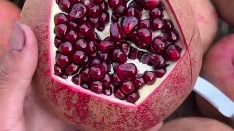 POMOGREAT FRUIT