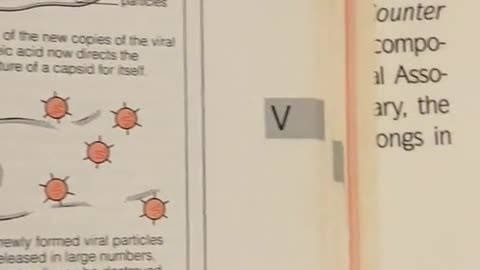 Definition of Coronaviruses