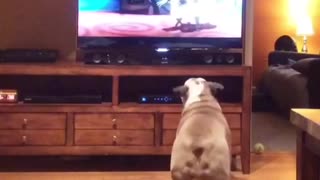 English Bulldog heavily invested in animated film