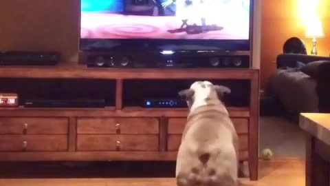English Bulldog heavily invested in animated film