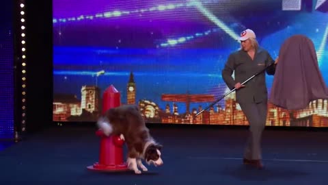 Dancing Dog Got Talent