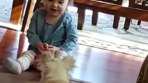 A little boy play with dog