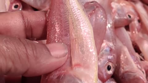 so close... nice red poa fish video in fish market#shorts