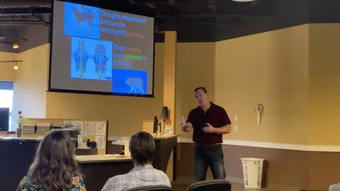 Chiropractic Continuing Ed Part 1