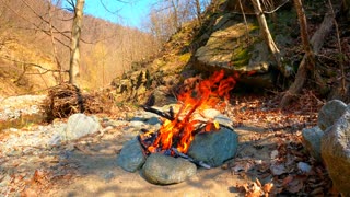 bonfire-in-the-wilderness