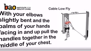 exercise - Cable Low Fly