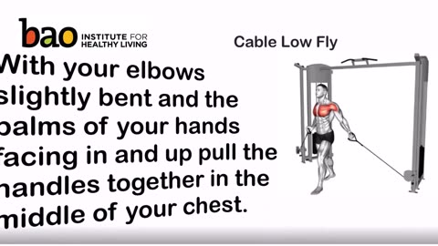 exercise - Cable Low Fly