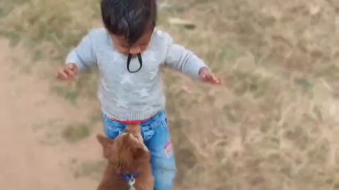 Puppy attack child 😱😱😱😱🤯