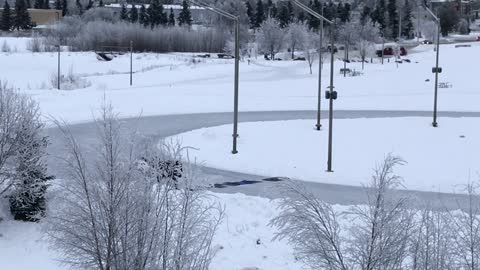 Good Samaritans Make Safe Ice Crossing for Moose