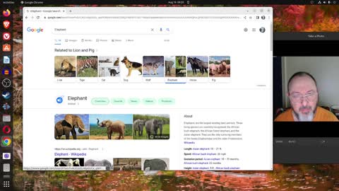 Google Animal Sounds And Stuff My Wife Found