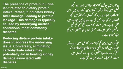 2024-012 / English / Urdu / Protein in Urine / پیشاب میں پروٹین
