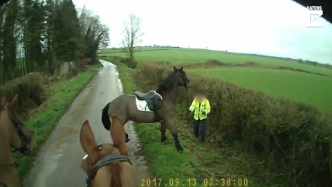 Horse slipped in a road | slipping hors video