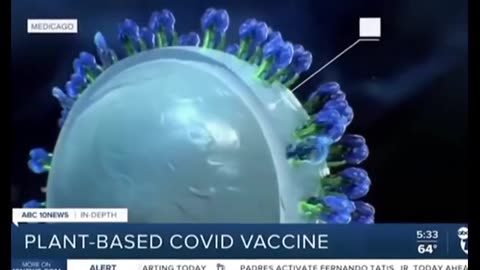 PLANT BASED COVID VACCINE FOOD VACCINES