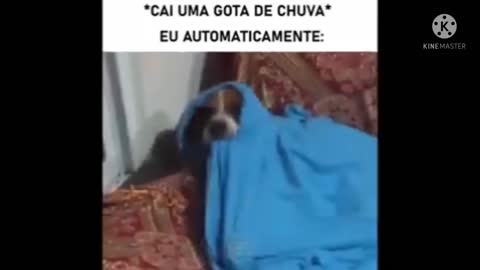 Memes fala parça