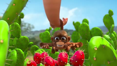 Monkey and trunk | Kids cartoon | Jungle Animal life |