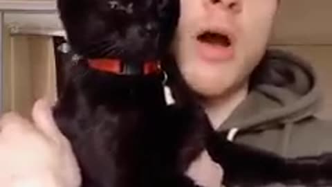 The Cat singer