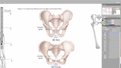 SIR-ena Williams: The Anatomy of a Deception