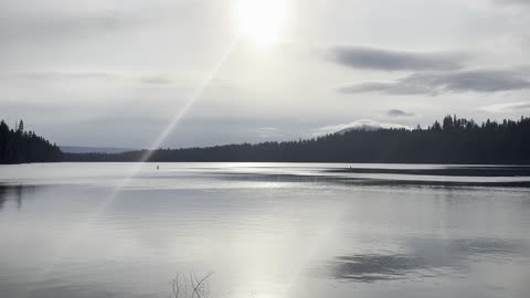 Enjoying the Pin-Drop Silent Views of Suttle Lake from Link Creek Campground Dock – 4K