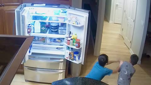 Brothers Topple Shelf Climbing on Refrigerator