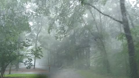 Rainy Drive through Crabtree Lake Park NC