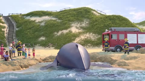 Snail helps save whale 🐳