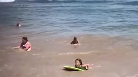 Boogie Board Fails