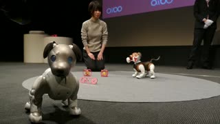 Sony presenta una versión "policía" de su perro-robot Aibo