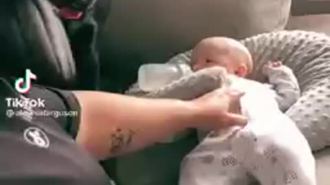 Dog protects baby at all costs💞😹
