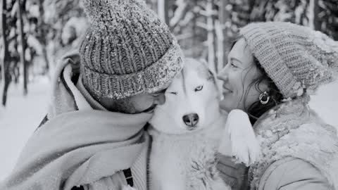 Natural love bonding between dog and own