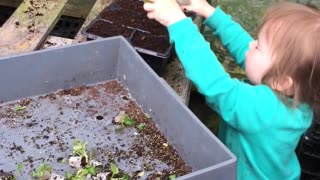 Toddler Trips while Tending to Plants