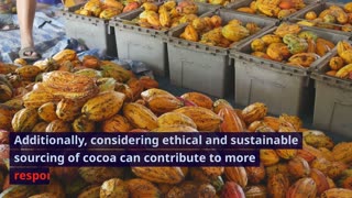 cocoa ingredients and pros and cons