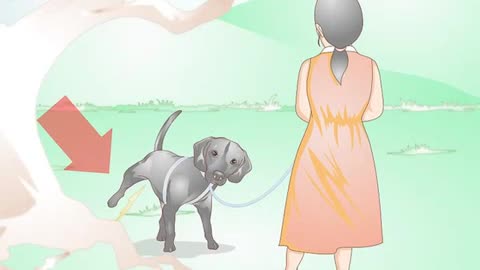 How to Prevent UTI in Dogs