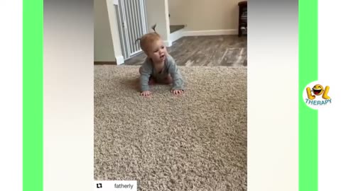 New Funny Babies Laughing Hysterically at Dogs Compilation