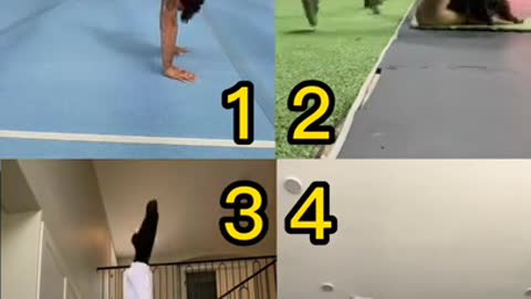 Pick Your Best 😍 Tiktok Compilation 💘 Pinned your comment 📌#121 #shorts #danc