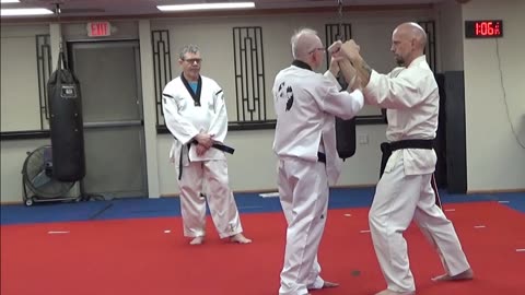 Taekwondo Master class on Basic Blocks