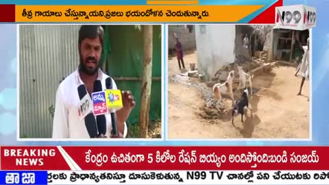 పిచ్చి కుక్కల స్వైర విహారం || N99TV