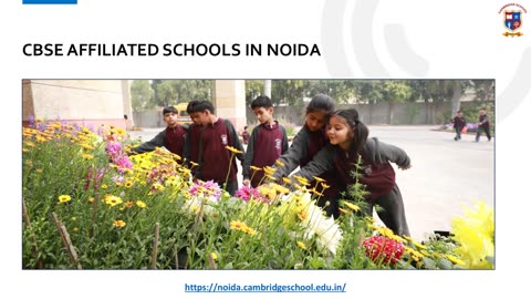 CBSE Affiliated Schools in Noida